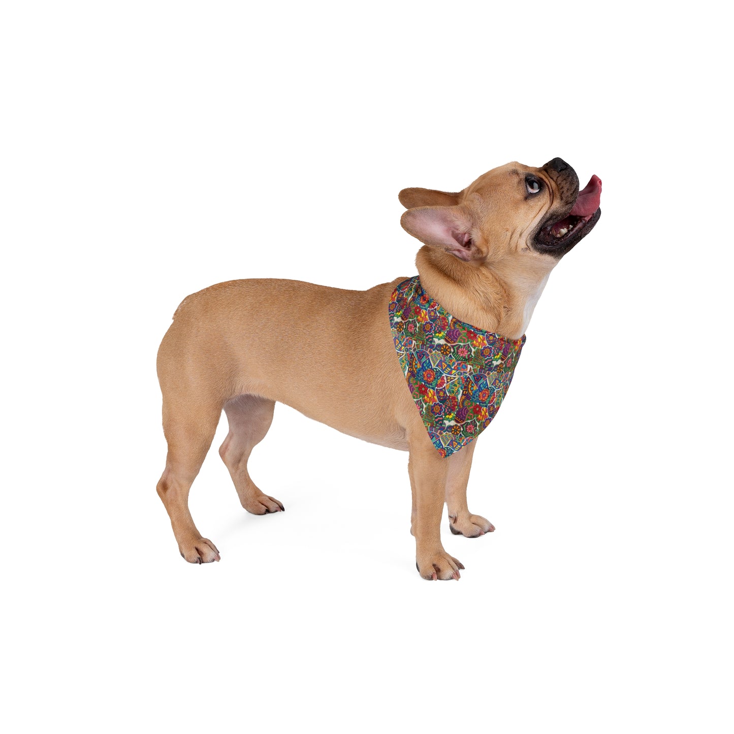 Pet Bandana (Colour)