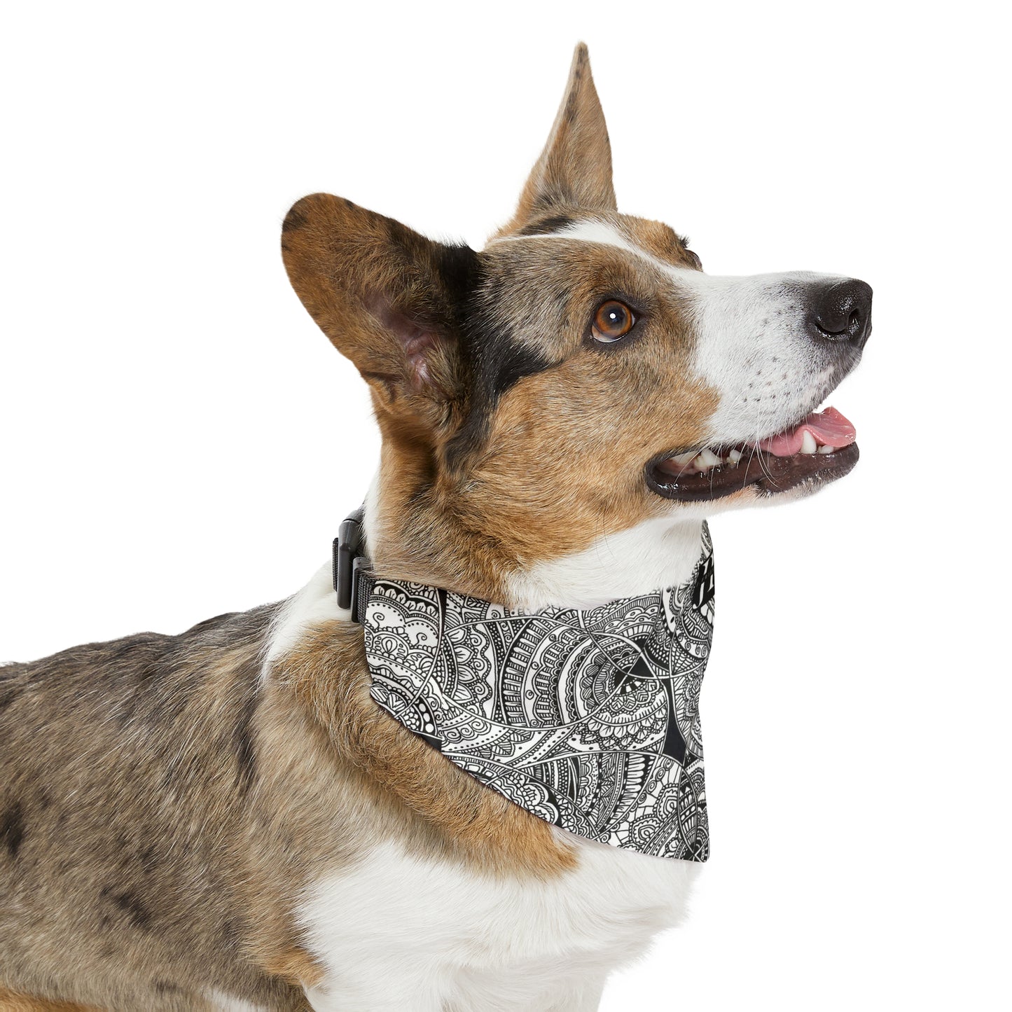 Pet Bandana Collar (Mandala Swirl)