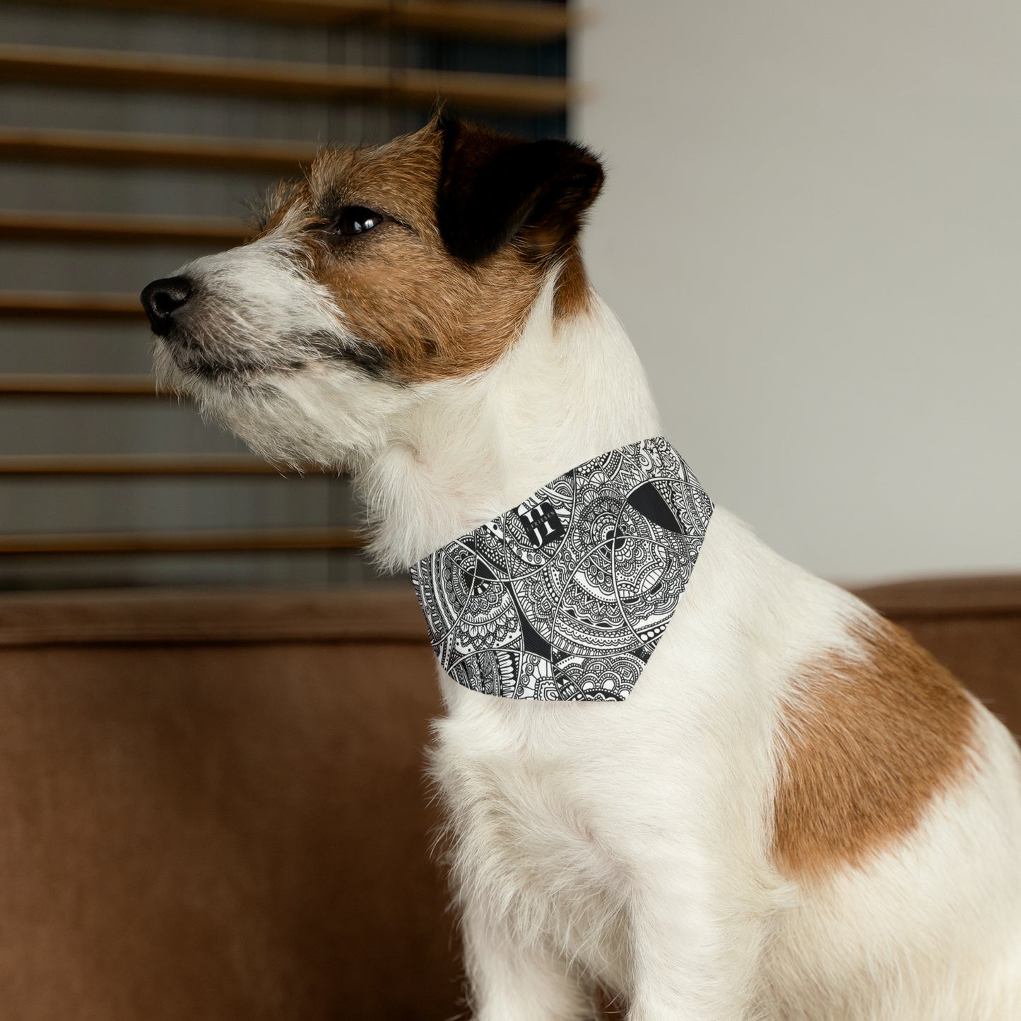 Pet Bandana Collar (Mandala Swirl)
