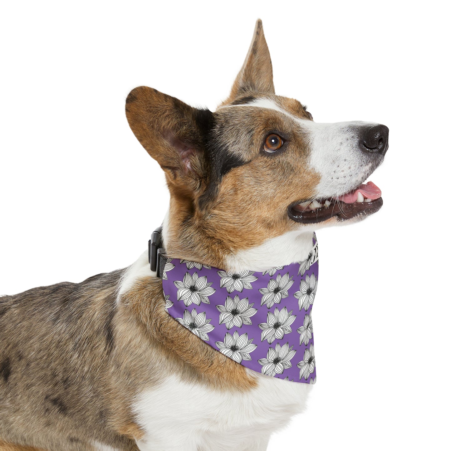 Pet Bandana Collar (Purple Flower)