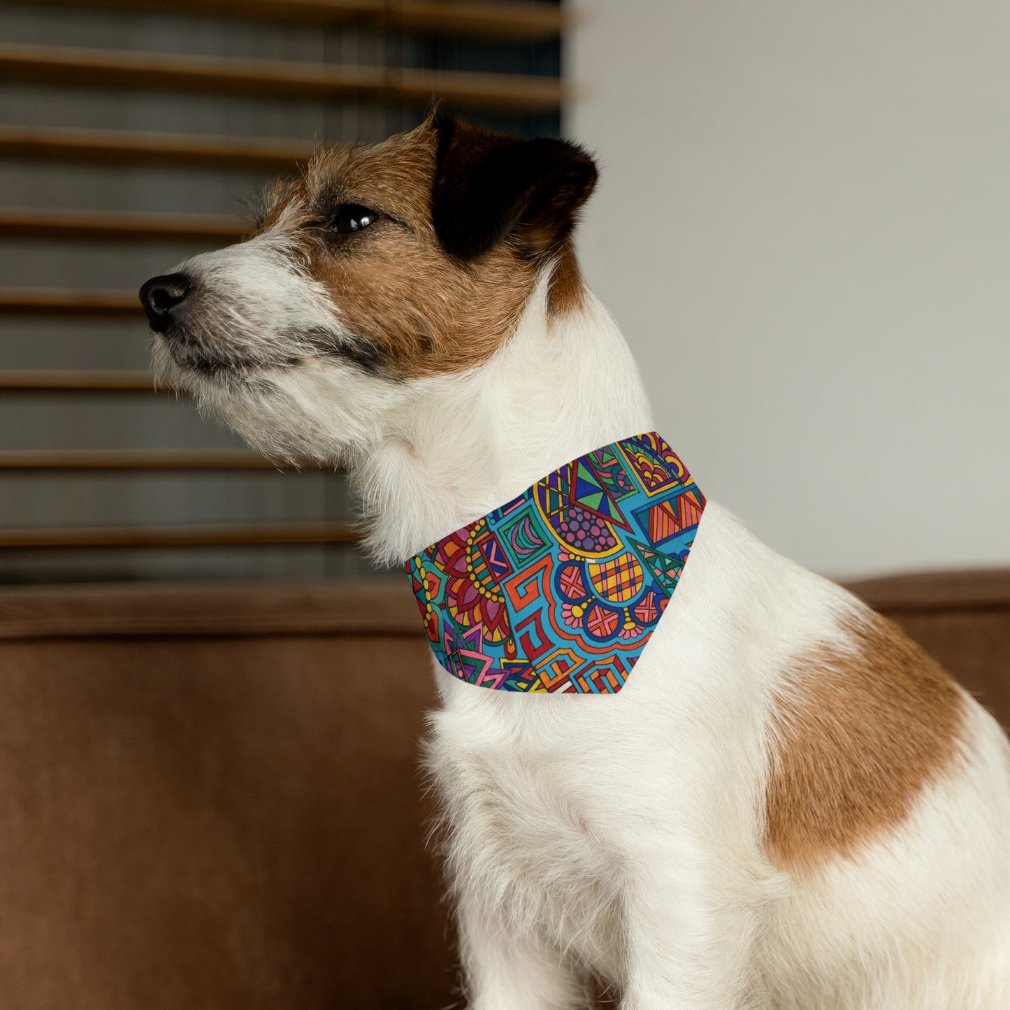 Pet Bandana Collar (Colour Frenzy)