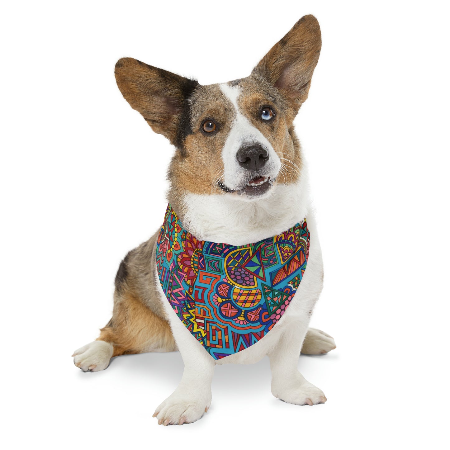 Pet Bandana Collar (Colour Frenzy)