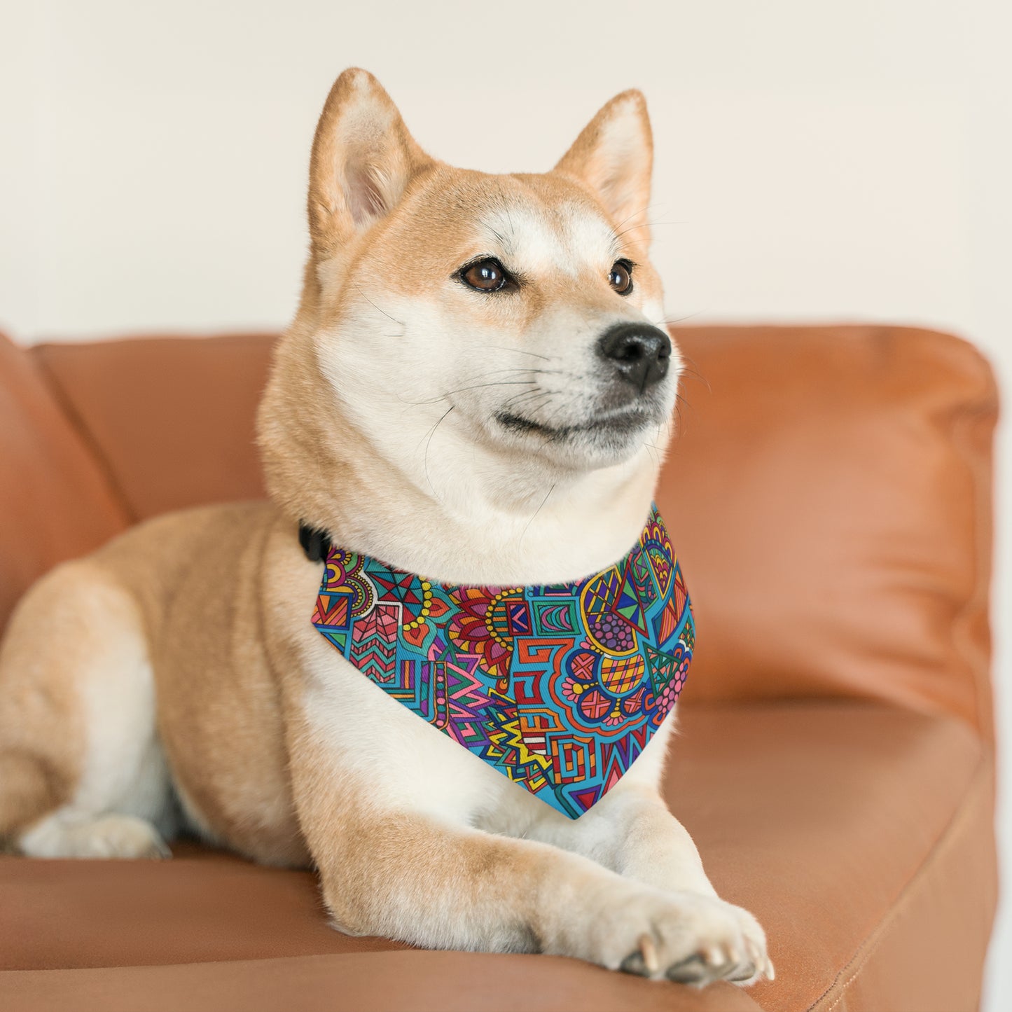 Pet Bandana Collar (Colour Frenzy)