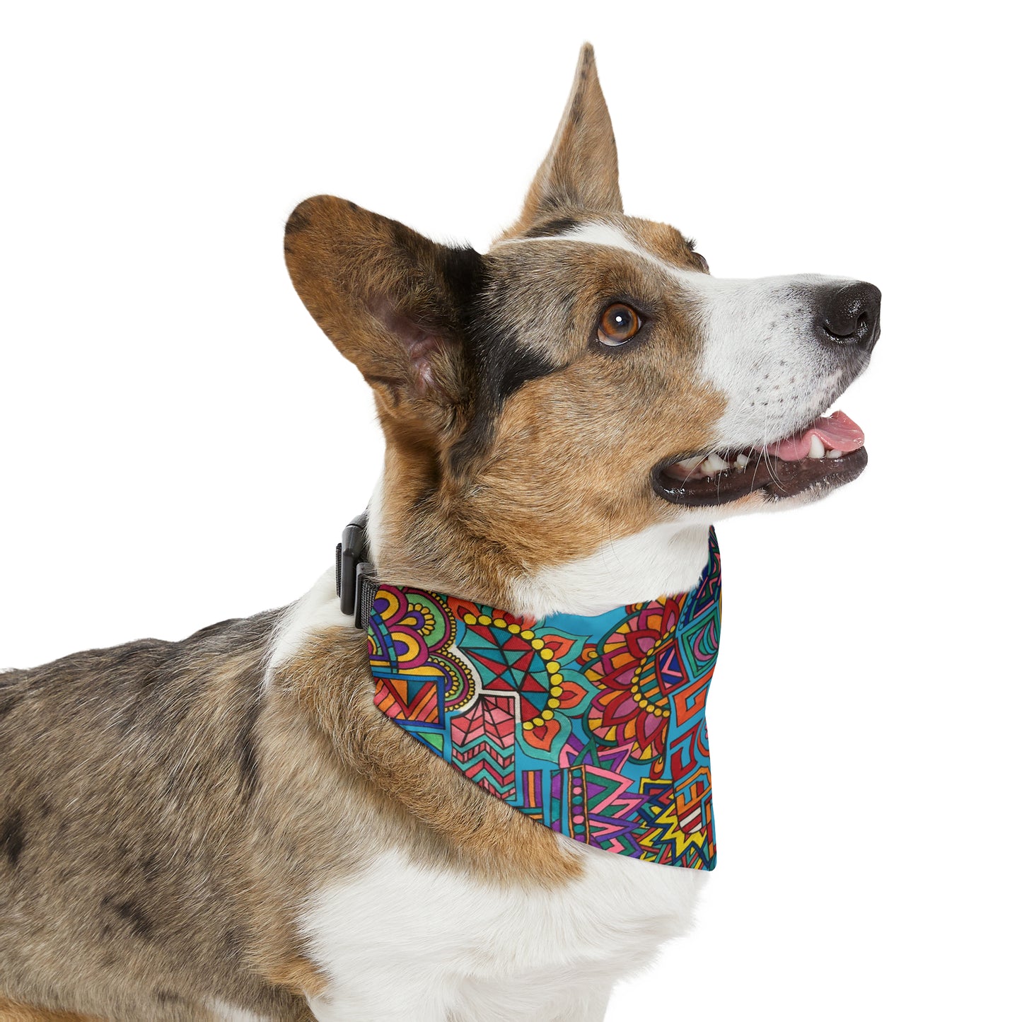 Pet Bandana Collar (Colour Frenzy)