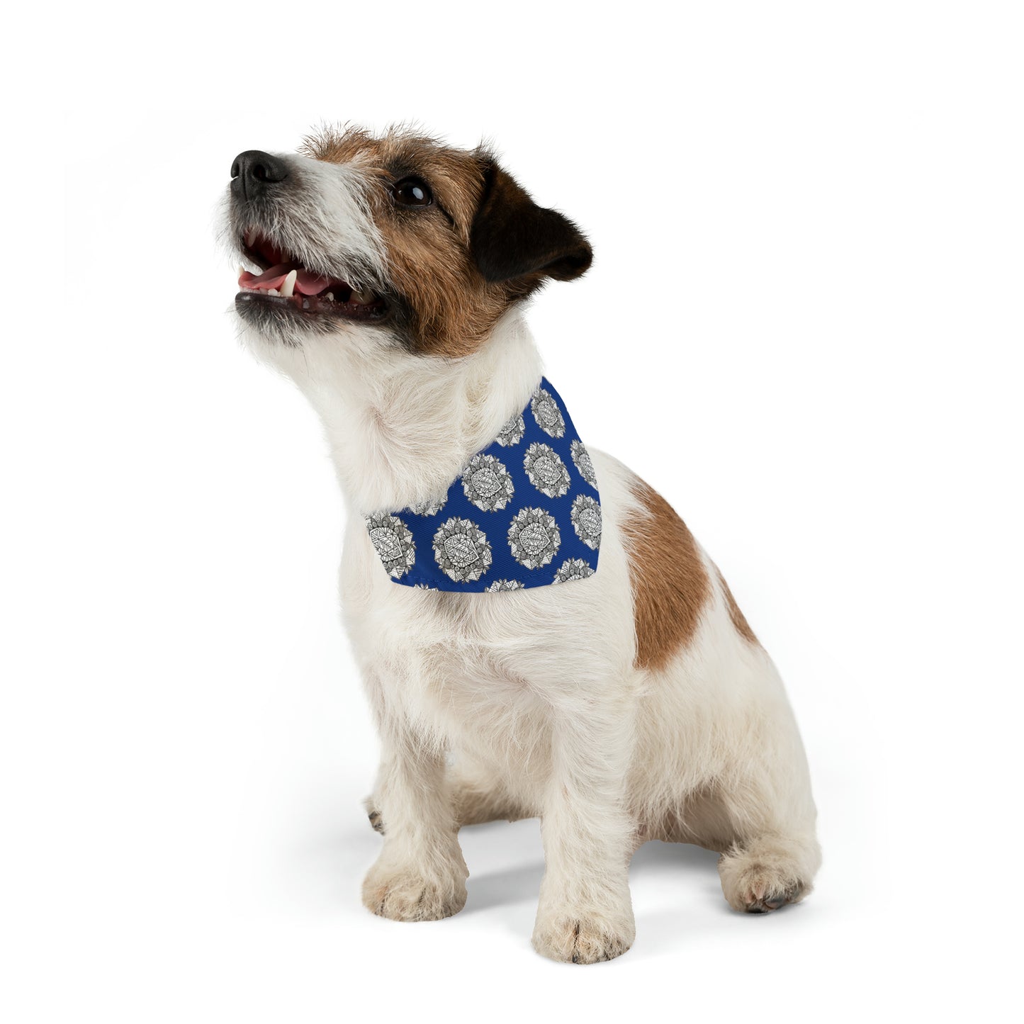 Pet Bandana Collar (Blue)